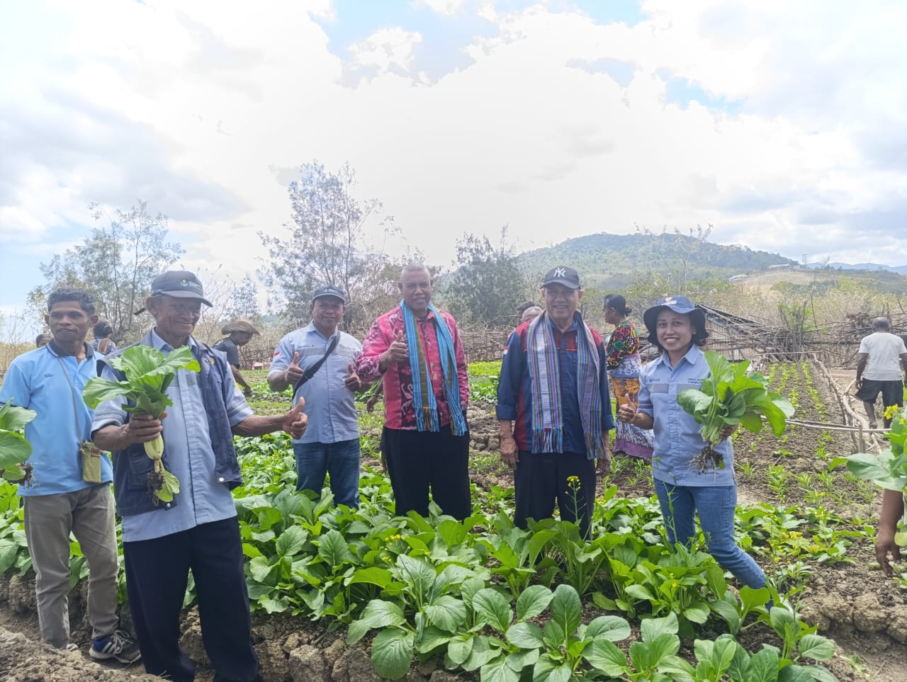 [ID] Panen Simbolis Tanaman Hortikultura di Desa Napan: Sinergi Yayasan CIRMA NTT dan Dinas Pertanian TTU