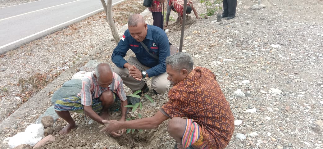 [ID] Kaum Bapak Gereja Petra Gelar Penanaman Pohon di Halaman GMIT Kalvari Bikomi Nilulat