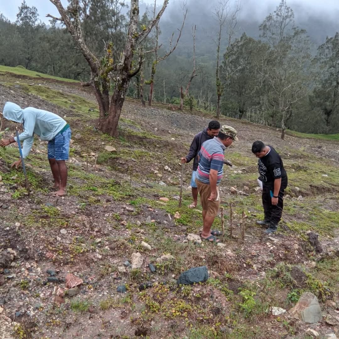 [ID] Wabup TTU Pimpin Penghijauan Jalur Sabuk Merah, Upaya Cegah Longsor dan Jaga Akses Strategis