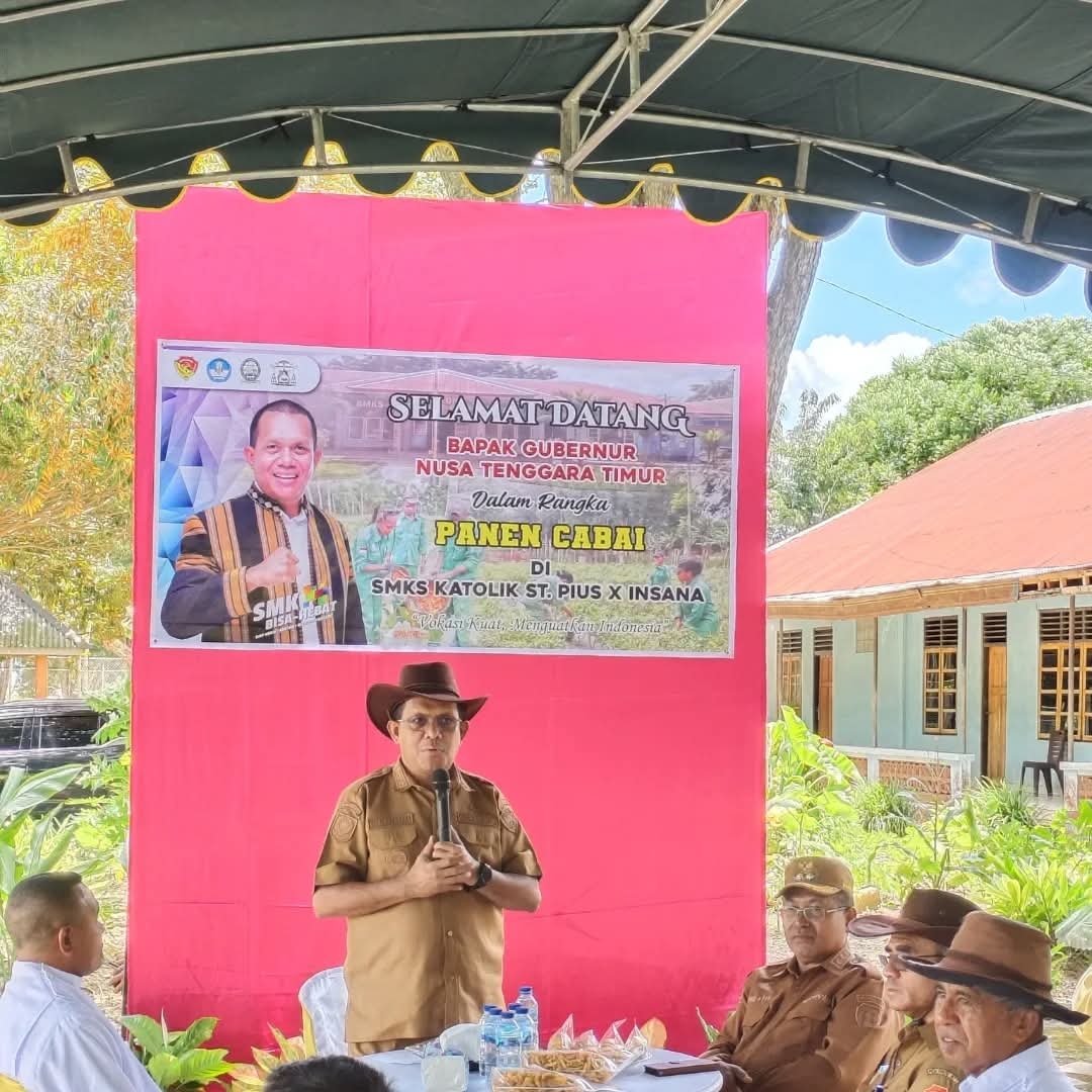 [ID] Gebrakan Gubernur NTT di Insana: Panen Cabai SMKS Jadi Simbol Kebangkitan Ekonomi dan Kemandirian Sosial.